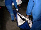 Труп женщины в шубе и мужских туфлях нашли в канаве около Волгодонска