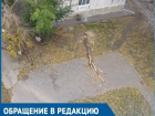 Спилили и оставили: жителям Волгодонска мешают лежащие на дорогах деревья