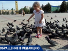  «Голуби тоже важны»: волгодончанка призвала устроить площадки для кормления птиц в центре города 