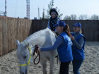 За 9 лет более 2000 детей Волгодонска прошли реабилитацию в центре адаптивно-верховой езды «Добрая лошадка»