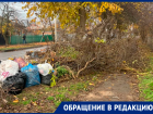 «Этот «бомжатник» когда-нибудь закончится?»: захламленный ветками тротуар на улице Пионерской вызвал недовольство у горожан