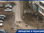Свора из десятка бездомных собак держит в страхе жителей новой части Волгодонска 