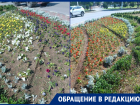 «Кто за это ответит?»: следы колес на клумбе возле «Мирного Атома» вызвали возмущение у волгодонцев