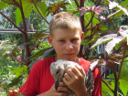 В Волгодонске пропал 13-летний Анатолий Климов