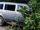 Стихия обрушила дерево на машины возле налоговой и подтопила КУИГ