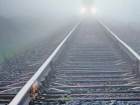 В Орловском пассажирский поезд насмерть сбил женщину