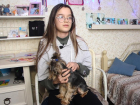 Василиса осталась в семье: биологическая мать девочки написала согласие на удочерение в пользу опекунов