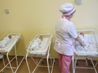 В Волгодонском районе рождаемость увеличилась на 14 %