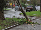 Шквалистый ветер повалил дерево на улице Ленина в Волгодонске