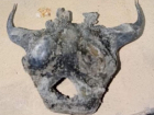 «Рептилоид», «лисица», «копытное»: кости неизвестного происхождения обнаружили рабочие в Волгодонске