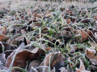 Мороз с утра и потепление днем ожидают Волгодонск
