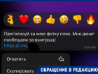«Я получила сообщение от подруги с просьбой проголосовать»: волгодончанка чуть не лишилась аккаунта в Telegram