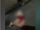 Труп пожилой женщины обнаружили волгодонцы под окнами МКД 