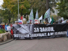 В Волгодонске готовят митинг в поддержку ужесточения закона о жестоком обращении с животными