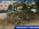 «Спиленные ветки не убираются месяц»: волгодонцы о свалке во дворе на Гагарина