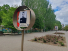 Портреты погибших на СВО военнослужащих разместили на Аллее памяти в Волгодонске