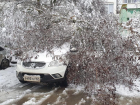 Оборванные провода и поваленные деревья: непогода принесла хаос в Волгодонск