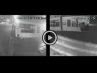 В Волгодонске хулиганская выходка трех подвыпивших дам  попала на камеры видеонаблюдения