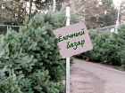Полиция борется с незаконными точками по продаже елок в Волгодонске