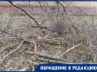 Больше года жильцы страдают от сухостоя после прошлогоднего циклона «Ольга»