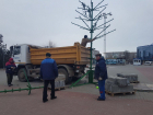 Праздники закончились: В Волгодонске приступили к уборке новогодних елок