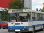 Общественный транспорт в День города отвезет горожан к фестивальной площадке и обратно