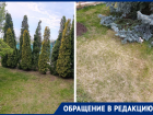 «Всё гибнет и пропадает»: садоводы СНТ «Мичуринец» второй год без полива в мае
