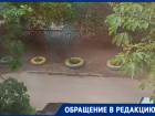 Перекрасить желто-синие клумбы или убрать их с улиц города потребовала волгодончанка 