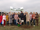 В Волгодонске готовятся к высадке нескольких тысяч деревьев