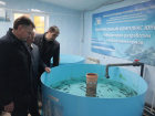 Губернатор поручил развивать водные биоресурсы в бассейне Азовского моря