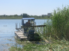В Волгодонске приступили к покосу тростниковых зарослей на Цимлянском водохранилище