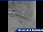 В Волгодонске появился последователь «Цветочного Потрошителя»: волгодончанка