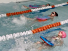 Услуга дня: пробное индивидуальное занятие плаванием со скидкой 50%
