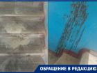 Волгодонцы месяцами вынуждены терпеть грязь и неприятный запах в подъезде на Ленина 