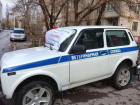 Бесплатная вакцинация против бешенства: в Волгодонске и Цимлянске можно сделать прививку питомцу