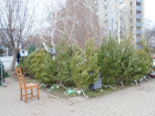Два десятка нарушений было выявлено в Волгодонске во время подготовки к новогодним праздникам 