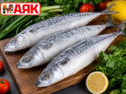 Товар дня: скумбрия свежемороженая  за 300 ₽/кг