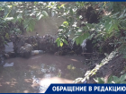 «Труп, алкаши и наркоманы»: волгодонцы возмущены запущенным состоянием ливнестока рядом с администрацией