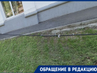 В Цимлянске спилили ветки после обращения в «Блокнот», но опасность осталась 