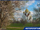 Прощай, апрель, ты был прекрасен: Волгодонск в объективе фотографа
