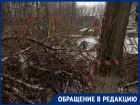 Третий день обрезанные ветки деревьев перекрывают дорогу во дворе МКД на Энтузиастов
