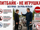 Как уберечь детей от травмы на дороге: в ГАИ напомнили о главных правилах безопасности 