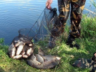 Полицейские Волгодонска задержали гражданина, незаконно выловившего почти полторы тысячи рыбин