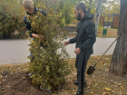 Безработные волгодонцы за деньги высадили деревья и кустарники в парке Победы