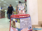 В Волгодонске прошла благотворительная акция по сбору денег для Парфена