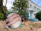 Скандал с блохами в детском саду «Золушка» в Волгодонске получил продолжение
