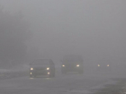 Экстренные службы предупредили автомобилистов о плохой видимости на трассе Ростов-Волгодонск из-за тумана 