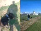 Волгодонец ударил ножом чужую домашнюю собаку на «поле дураков»