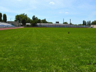 На стадионе «Труд» вырос новый зеленый газон
