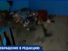 Волгодонцы показали гору мусора в подъезде, с которой им приходится жить по соседству 